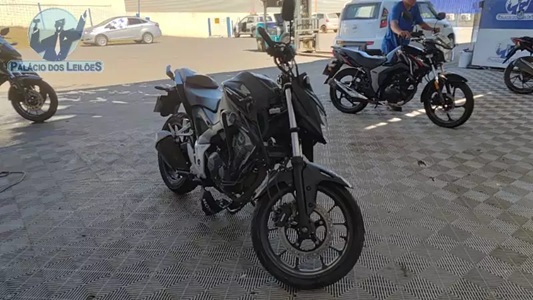 HONDA/CB300F TWISTER CBS 2024